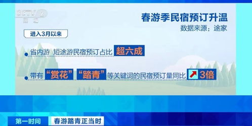 春暖花開時，三大潮流打卡新選擇 花海、民宿與山地戶外運動